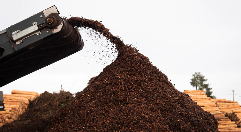 Image d'écorces de bois prêtes à être utilisées