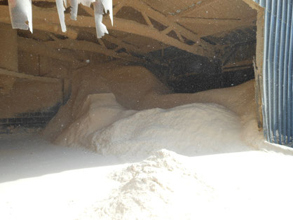 Image de sciures de bois disponibles à la vente